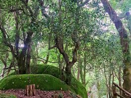Campsite walk