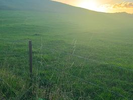 Sonnenuntergang direkt 5 min vom campingplatz