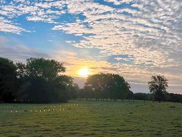 Morning view