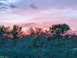 Beautiful sunset