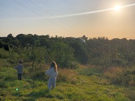 Sunrise from the top of the orchard