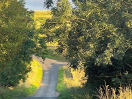 Looking along the lane