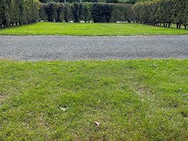 Photo shows sizes of pitch.