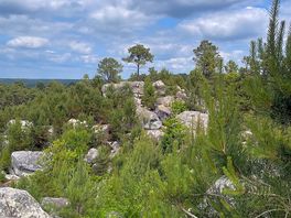 Just a short drive from the site on the 25 bosses walk