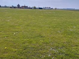 Grass pitches
