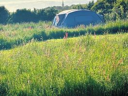 A view of our pitch, each pitch separated by wild flowers & grasses