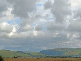 Watching geese fly over from the campsite.