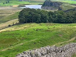 Winshield cragg