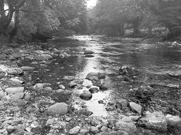 Stream