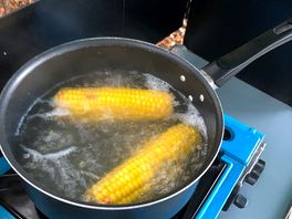 Boiling corn
