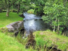 Campsite stream.