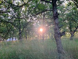 Sunset starting