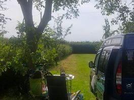Shady spot