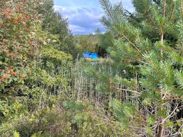 Tent from across the pond