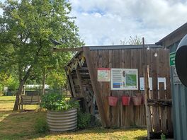 Toilet blocks