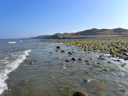 The beach