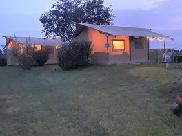 Safari tent