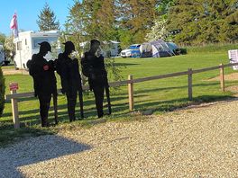 Our teardrop and awning at an electric pitch..