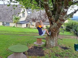 Tree fun.