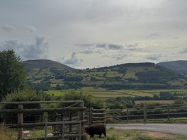 Beautiful scenery
