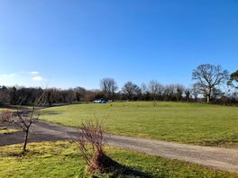 Picture of site