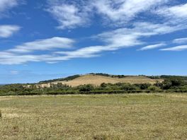 The downs surrounding the site