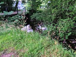The river babbling behind our set-up