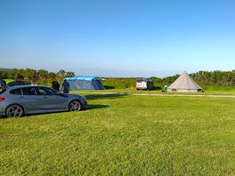 Main field