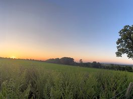 A pano!