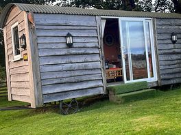 Daisy shepards hut