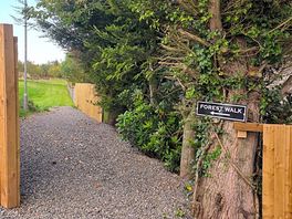 Brilliant site for the dogs they loved it