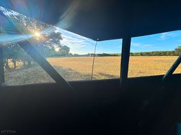 Our morning view