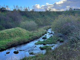 Walk around the farm.