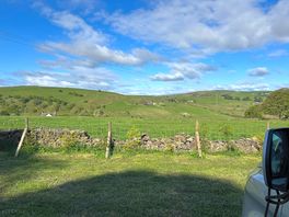 View from the van