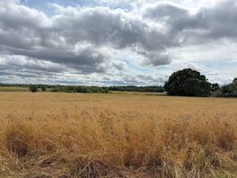 Across the fields