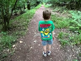 Evening walk through the woods - just before couple of deer crossed the path 10 metres ahead of us.