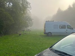 The mist one morning.