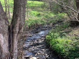 Stream