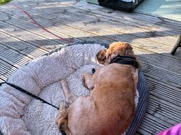 Chilling after a long walk
