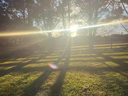 Lots of sunshine.