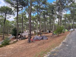 Campsite