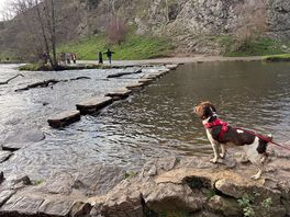 Dovedale stepping stones