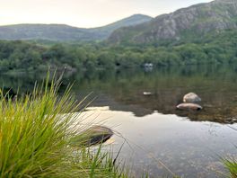 View from the tent