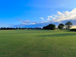 Field view