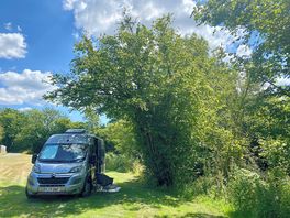 Shady spot