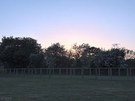 Sun setting over the dog garden