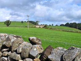 View from dog walking area