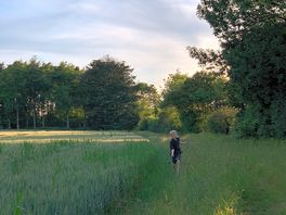 Fields
