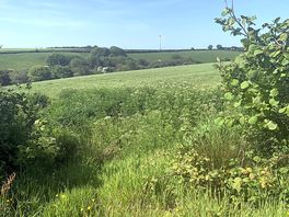 So peaceful. view from the camping field
