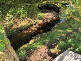 Stream that runs along one side of the site